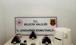 Söğüt’te kaçak tütün operasyonu
