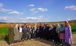 Başkan Subaşı kadın çiftçilerle hasat yaptı