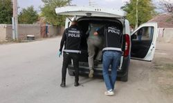 Alpu'da şok uygulama: 311 kişi...