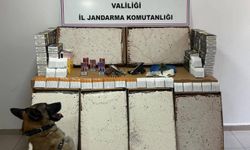 Afyon'da Jandarmadan zehir operasyonu!