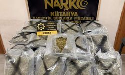 Eskişehir komşusunda kilolarca zehir yakalandı!
