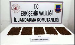 Eskişehir'den zehirli madde taşırken yakalandılar!