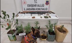 Eskişehir'de zehir tacirlerine darbe: Cephanelik gibi ev!