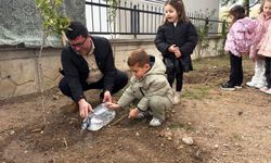 Minik öğrencilere fidan dikimi öğretildi