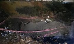 Bilecik'te çıkan yangına hızlı müdahale