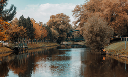 Eskişehir'de soğuk hava alarmı!