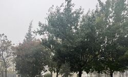 Eskişehir'i sağanak yağış vurdu!
