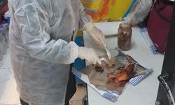 Gıda için askeri birliklerde düzenli denetim kararlılığı