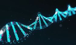 Genetik analizler kronik hastalıklarda rehber olacak