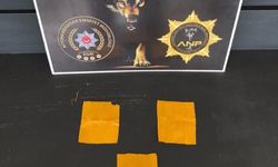 Afyon'daki zehir operasyonunda tutuklama