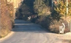 Eskişehir yolunda sürücülere zor anlar yaşatan engel!