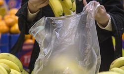 Plastik poşet ücretlendirmesiyle 2,6 milyon ton atık önlendi