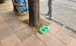 Eskişehir’de sokak hayvanlarına su desteği