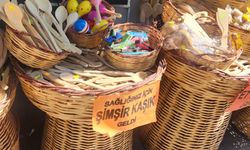 Eskişehir’de uzmanlar uyarıyor: Plastik ve metal kaşıkları bırakın!