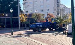 Eskişehir'de ağaçlar soğuktan korunuyor!