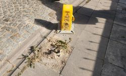 Eskişehir’de elektrik hatları tehlike saçıyor!