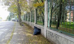 Eskişehir'de sonbahar temizliği hız kesmiyor!