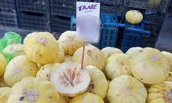 Eskişehir’de kavun fiyatları sezon sonu nedeniyle arttı
