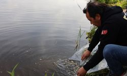 Porsuk Çayı’na 5 bin aynalı sazan salındı