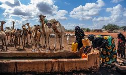 İklim krizi göçleri artırıyor: 10 yılda 250 milyon kişi evini terk etti!