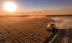 Çiftçiye 331 milyon liralık destek paketi bugün devreye giriyor