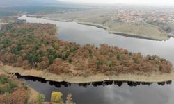 Eskişehir komşu ilinde sonbahar güzelliği!