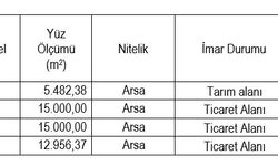 Eskişehir’de dev arsa satışı: Yüzlerce milyon değerinde