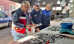 Kütahya'da balık tezgahlarına denetim!