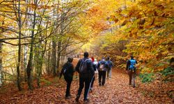 Kütahya'da 'Doğayı Koruyun' çağrısıyla yürüdüler!