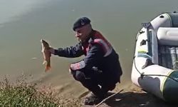 Yasadışı balık avcılığına 42 bin lira ceza!