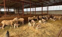 Bilecik’te kırsal kalkınmaya tam destek