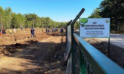 Eskişehir'deki orman yangınında şehit oldu, anısına fidan dikildi