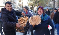 Kütahya’da Kanlıca mantarına yoğun talep!