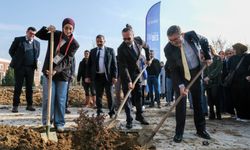 "ÜNİDES” Projesi kapsamında fidan dikimi gerçekleştirildi