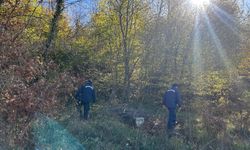 Mantar topladığı ormanda kaybolmuştu, bu halde bulundu!