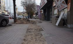 Hamsu Köprüsü’nde atık su sorunu çözüldü