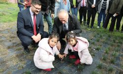 Eskişehirli kadın çiftçiler safranla tanışıyor