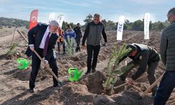 TEI, 40. yılını fidan bağışıyla taçlandırdı