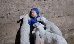 Eskişehir'de minik çocuğun kuzularla imtihanı gülümsetti!