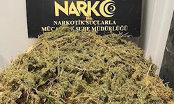 Eskişehir'de patates çuvallarında kilolarca zehir çıktı!