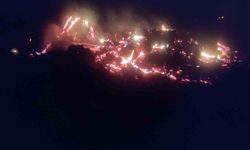 Bilecik’te alevler rüzgarla yayıldı, ekipler seferber oldu