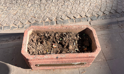 Eskişehir'de saksılar çöplüğe döndü!