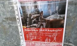 Eskişehir'de Şakir’i bulan parayı kapacak