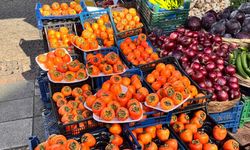 Eskişehir'de lezzet ve şifa deposuna yoğun ilgi!