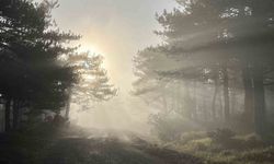 Eskişehir Bozdağ zirvesinden kartpostallık sis manzarası!