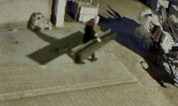 Eskişehir'de at arabasıyla hırsızlık saniye saniye kaydedildi