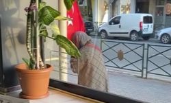 Eskişehir'de Türk bayrağını öpen teyze yürekleri ısıttı