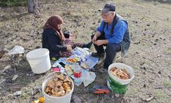 Hisarcık’ta Gökkaya çifti doğayla iç içe mantar mesaisinde
