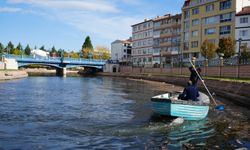 Porsuk Çayı'nda her gün kilolarca toplanıyor!