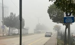 Yoğun sis Bozüyük'te etkili oldu!